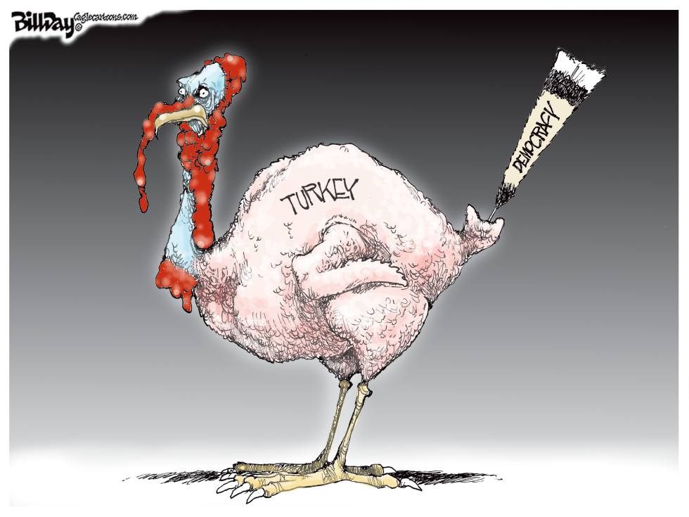  TURKEY by Bill Day