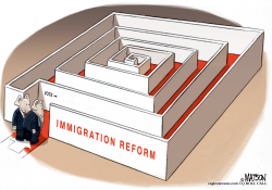 IMMIGRATION REFORM MAZE by RJ Matson