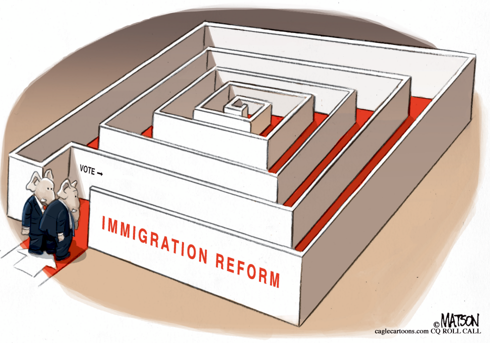  IMMIGRATION REFORM MAZE by RJ Matson