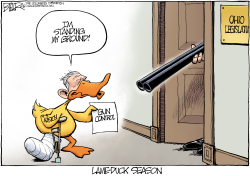 LOCAL OH GUN CONTROL AND KASICH by Nate Beeler