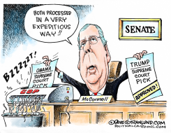 SENATE AND SCOTUS PICKS by Dave Granlund