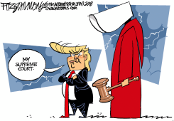 TRUMP SUPREME COURT by David Fitzsimmons