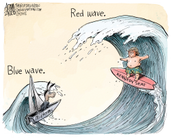 POLITICAL WAVES by Adam Zyglis