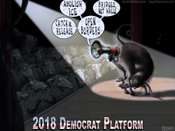 DEMOCRATS IMMIGRATION by Sean Delonas