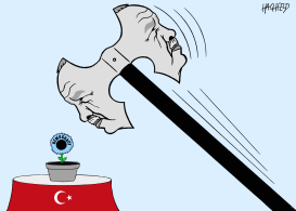 DOUBLE AX ERDOGAN by Rainer Hachfeld