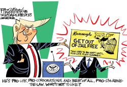 KAVANAUGH by David Fitzsimmons