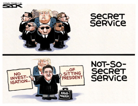 TRUMP PROTECTOR by Steve Sack