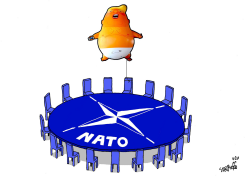 NATO MEETING by Stephane Peray