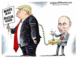 TRUMP PREFERS PUTIN by Dave Granlund