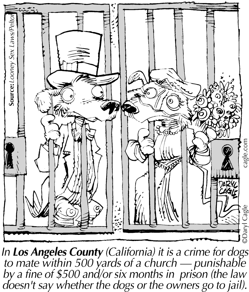  TRUE MARRIAGE DOGGIE JAIL by Daryl Cagle