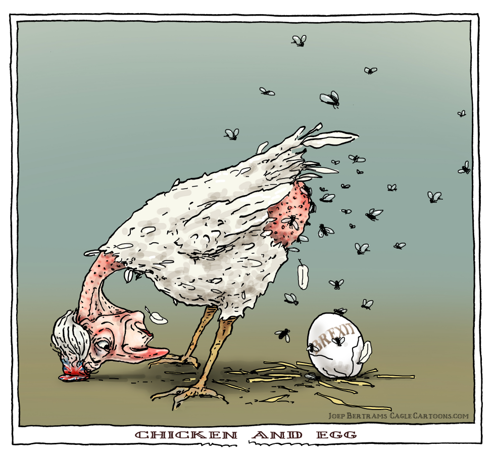  CHICKEN AND EGG by Joep Bertrams