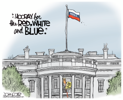 THE NEW RED WHITE AND BLUE by John Cole