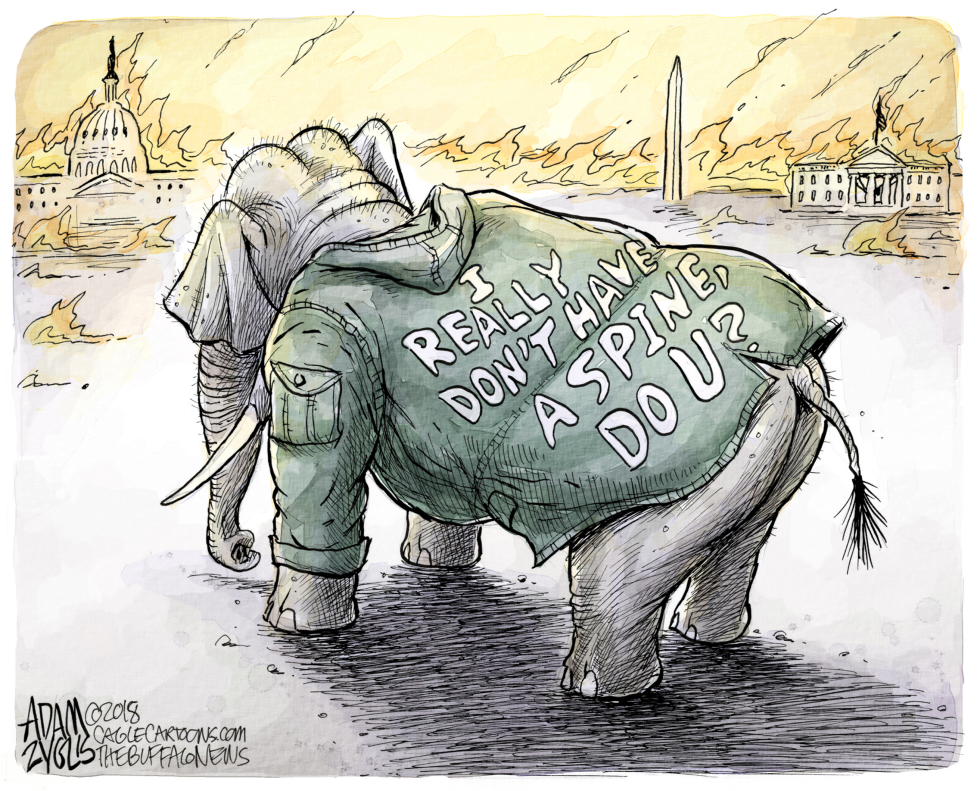  DEFENDING OUR INSTITUTIONS by Adam Zyglis