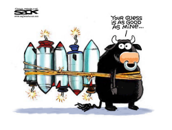 BULL MARKET by Steve Sack