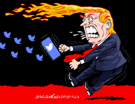 TWITTERS DE FUEGO Y FURIA by Arcadio Esquivel