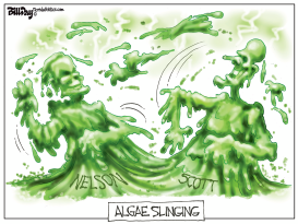 ALGAE SLINGING FLORIDA by Bill Day