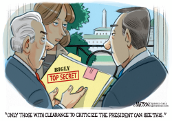 TOP LEVEL TRUMP SECURITY CLEARANCE by RJ Matson