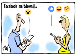 FACEBOOK MELTDOWN by Tom Janssen