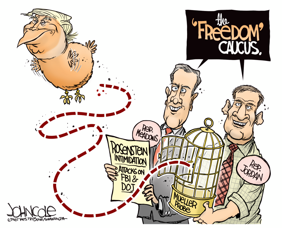  FREEDOM CAUCUS AND TRUMP by John Cole