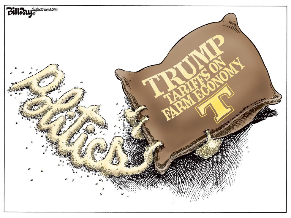  TRUMP TARIFFS by Bill Day