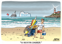 SINKING CONGRESS by RJ Matson