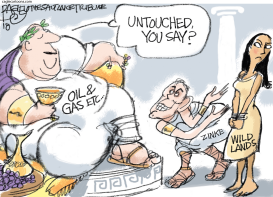 WILD LANDS by Pat Bagley