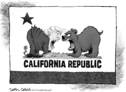 TRUMP AND CALIFORNIA FACE OFF by Daryl Cagle