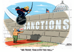 MR TRUMP TEAR DOWN THIS WALL by RJ Matson