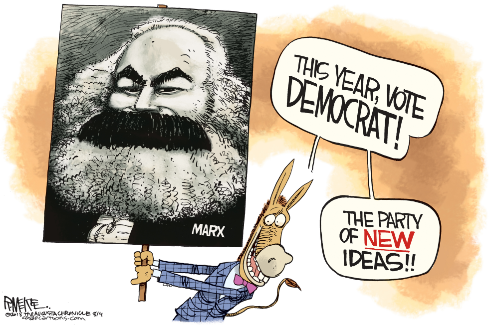  DEMOCRATS GO LEFT by Rick McKee