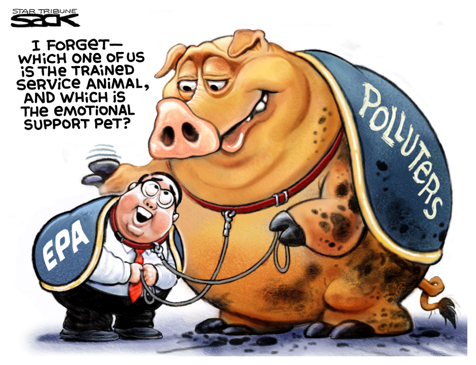  EPA PIGGY by Steve Sack