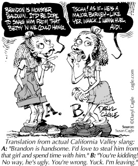 TRUE - CA VALLEY SLANG by Daryl Cagle