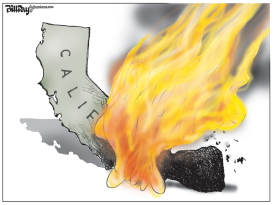 CALIFORNIA FIRES by Bill Day