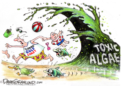 FLORIDA TOXIC ALGAE by Dave Granlund