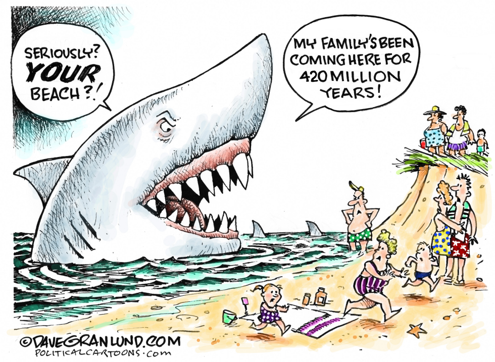  SHARKS AND BEACHGOERS by Dave Granlund