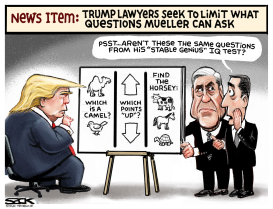 MUELLER QUESTIONS by Steve Sack