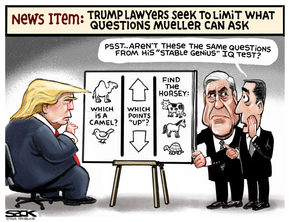  MUELLER QUESTIONS by Steve Sack