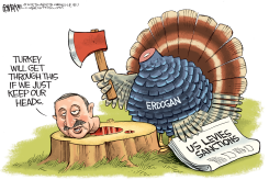 ERDOGAN TURKEY by Rick McKee