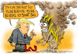 TRUMP AND BURNING CALIFORNIA by Daryl Cagle