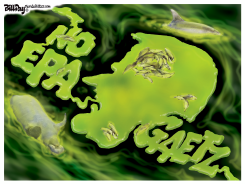 GAETZ AND ALGAE FLORIDA by Bill Day