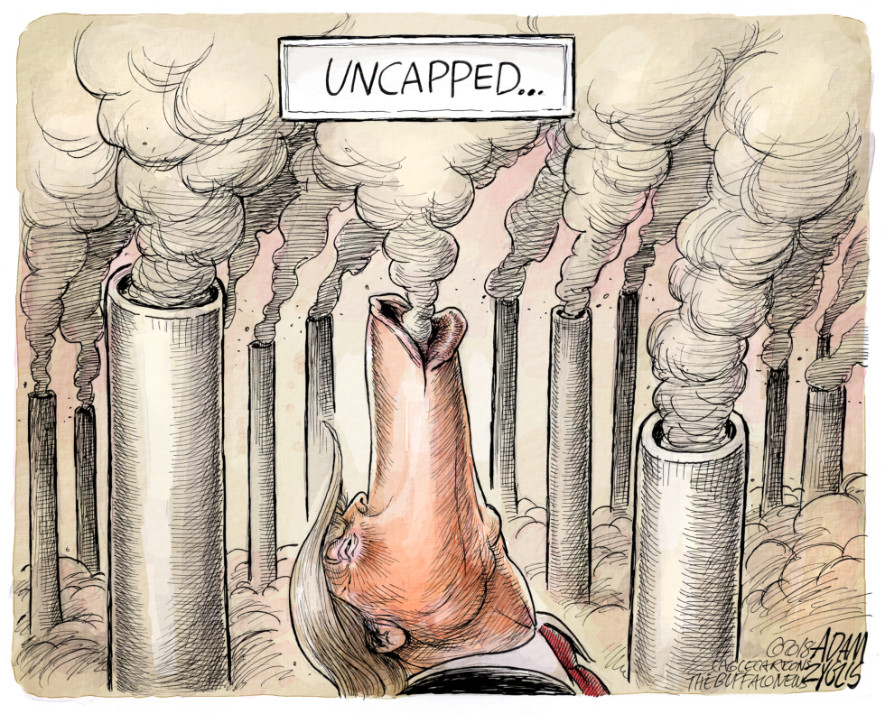  CLEAN POWER PLAN REPEAL by Adam Zyglis