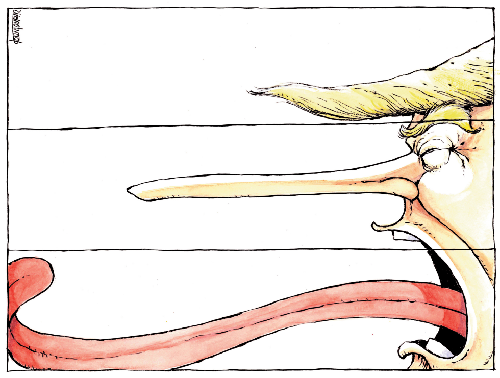  TRUMP by Michael Kountouris