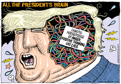 ALL THE PRESIDENT'S BRAIN by Wolverton