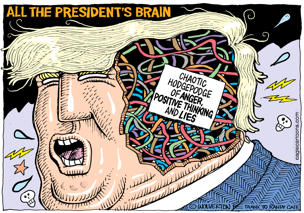  ALL THE PRESIDENT'S BRAIN by Wolverton