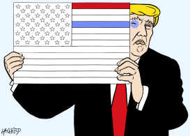 TRUMP S A FLAG by Rainer Hachfeld