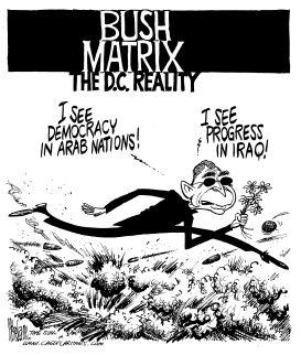 BUSH MATRIX by Mike Lane