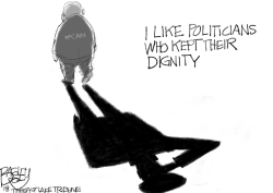 MCCAIN by Pat Bagley