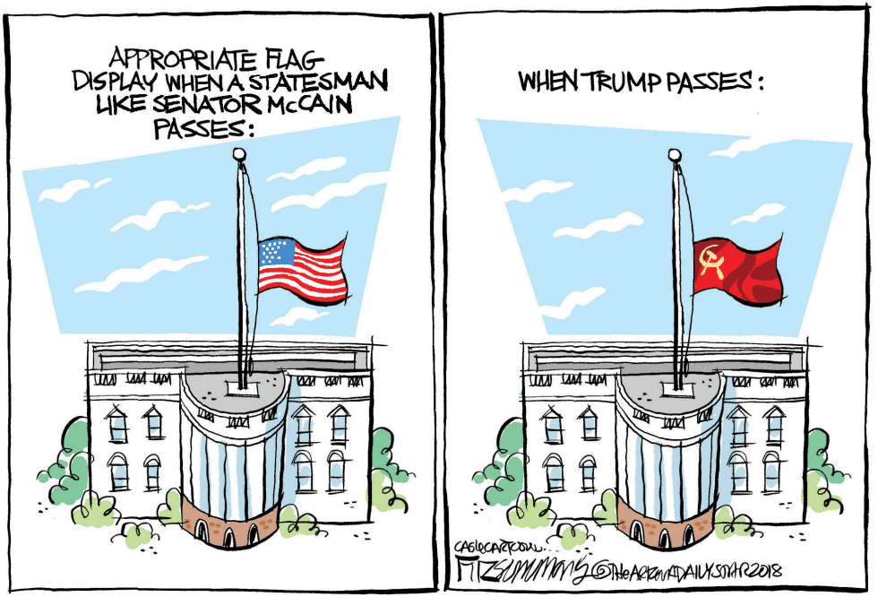  FLAG ETIQUETTE by David Fitzsimmons