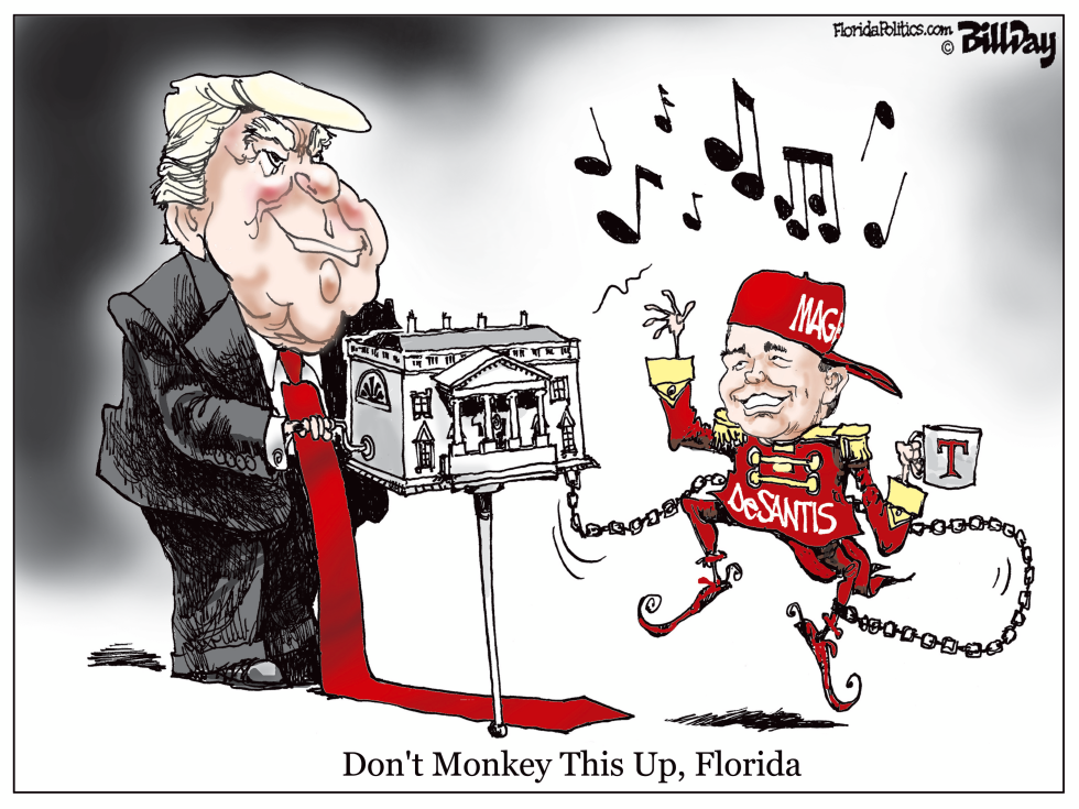  MONKEY TALK, FLORIDA by Bill Day