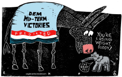 MIDTERM VICTORIES by Randall Enos