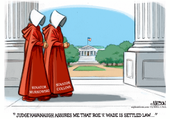 THE HANDMAID'S SENATORS by RJ Matson